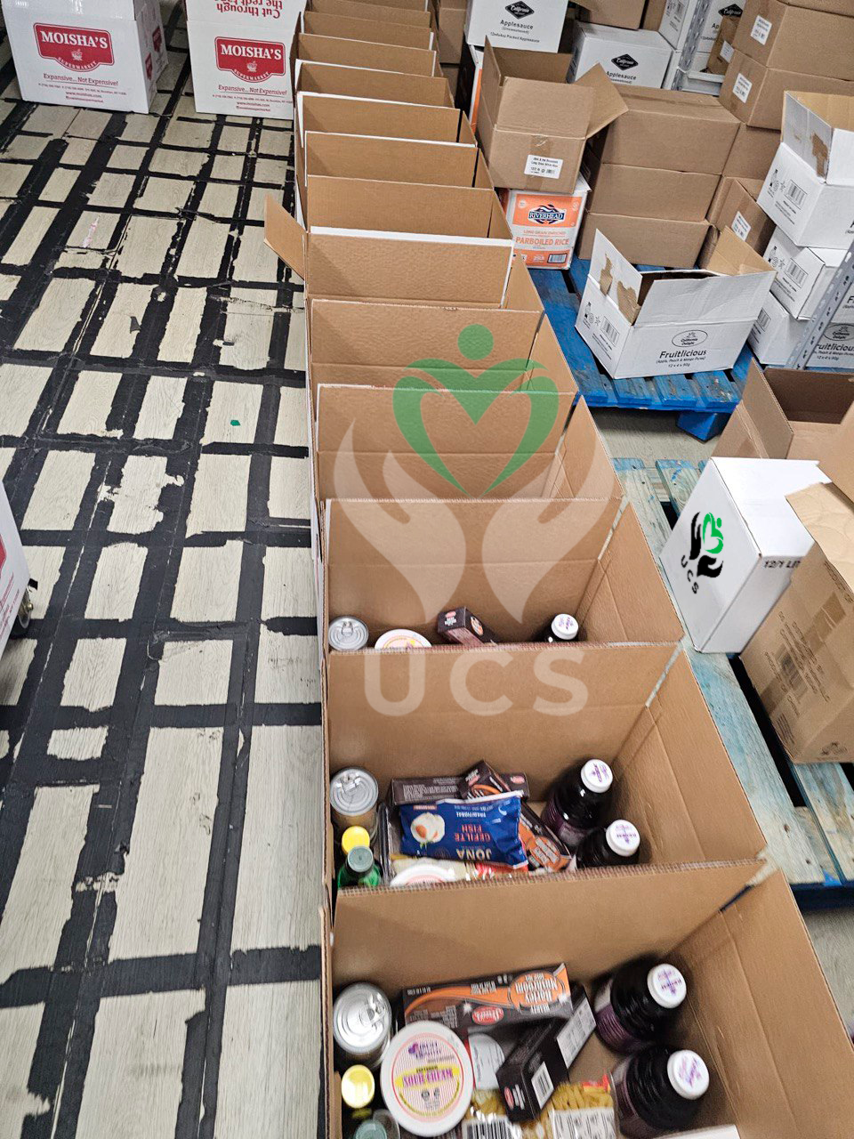 Food box distribution event